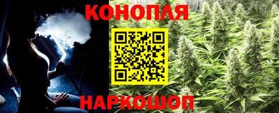 прущие грибы Пугачёв