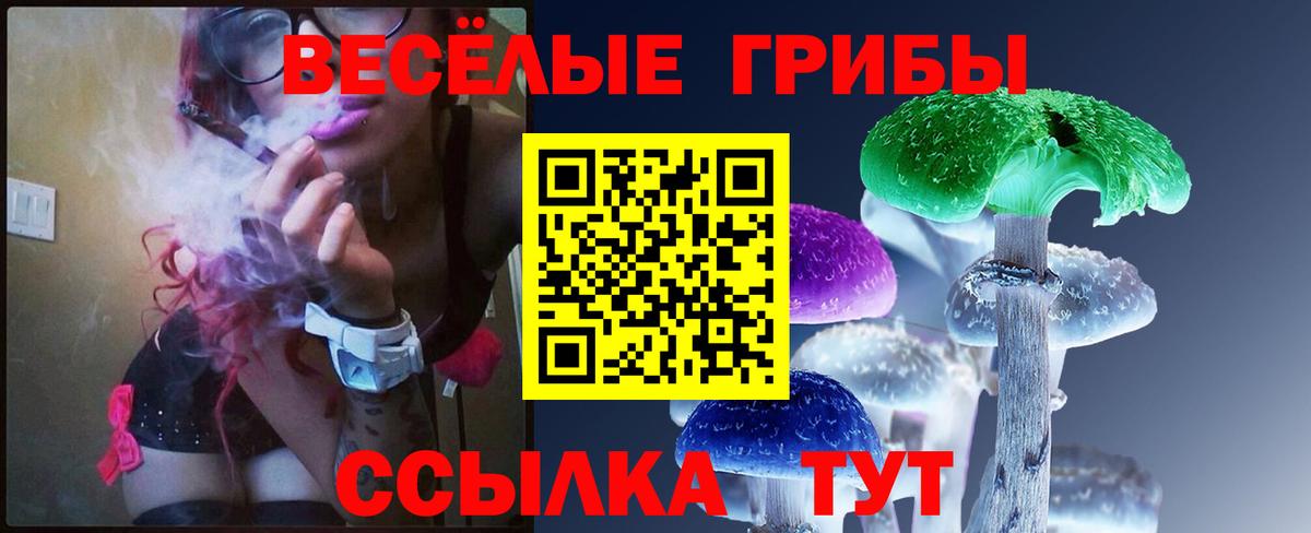 Ревда  Псилоцибиновые грибы ЛСД  Галлюциногенные грибы ЛСД  Вход с VPN 